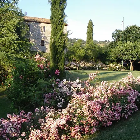 Abbazia Sant'elena Bed and Breakfast 3*